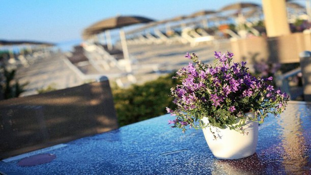 La Spiaggia Beach Restaurant In Cesenatico Restaurant