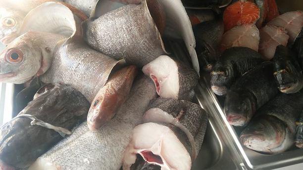 O Pavão Peixe