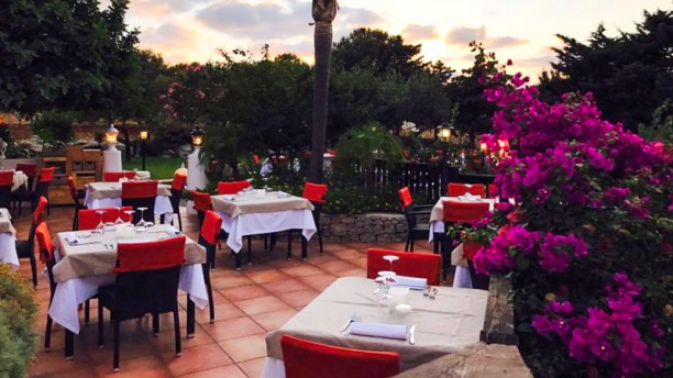 il fico dindia ristorante il fico dindia ristorante
