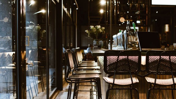 mr black and white ox