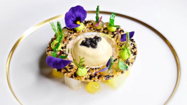 De Silveren Spiegel suggestie