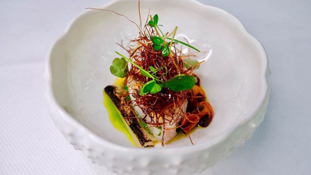 De Silveren Spiegel suggestie