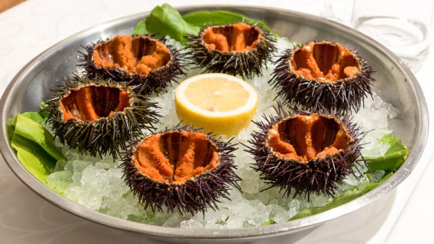 Al Grissino A Milano Menu Prezzi Immagini Recensioni E