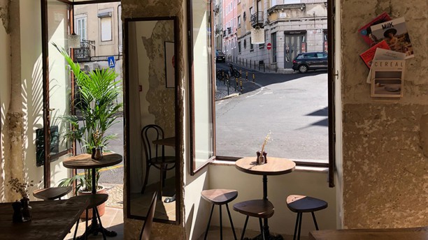 Seagull Method Cafe Sala