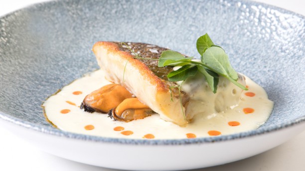 DOMO - Hotel NH Collection Eurobuilding Plato