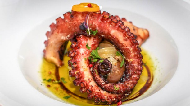 Panorama Restaurante Sugestao do chef