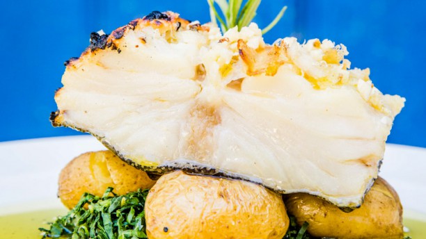 Restaurante Conqvistador Sugerencia