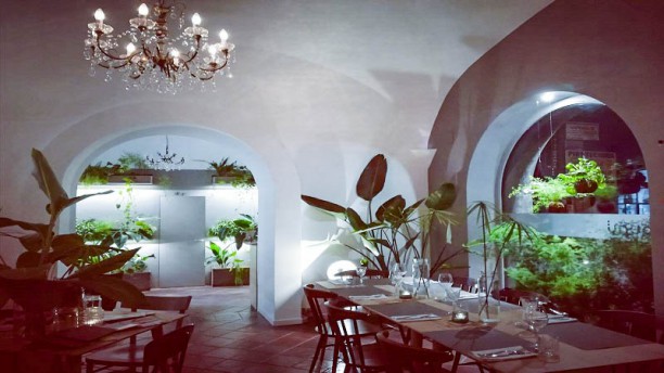 Nounu Ristorante In Nocera Superiore Restaurant Reviews Menu