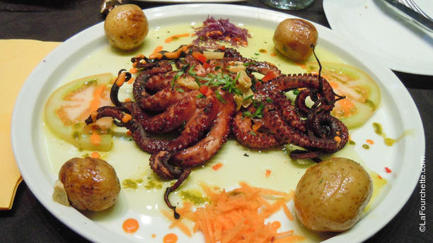 Floresta da cidade Polvo a lagareiro