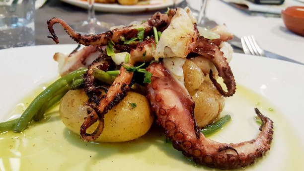 Floresta da cidade Sugestão prato