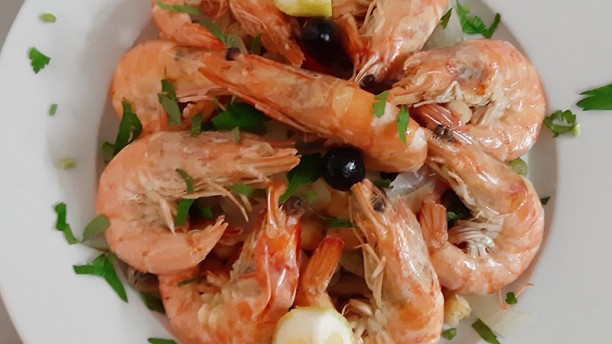 Estrela Cadente Prato