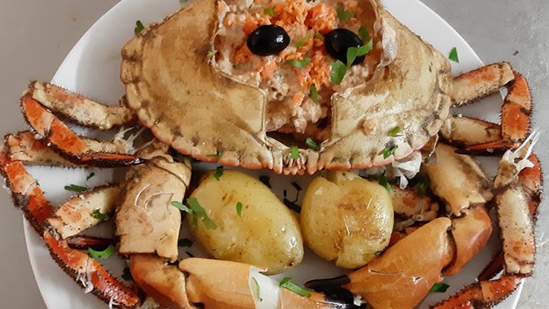 Estrela Cadente Prato