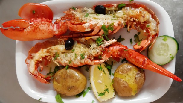 Estrela Cadente Prato