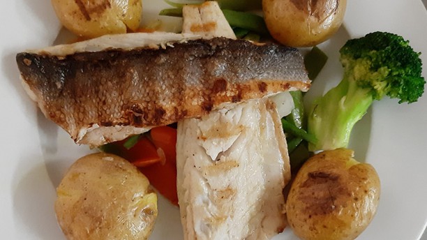 Estrela Cadente Prato