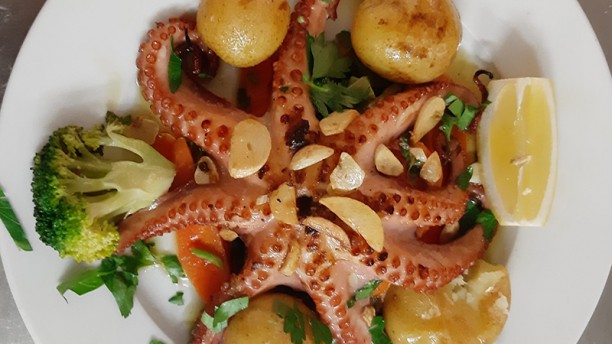 Estrela Cadente Prato