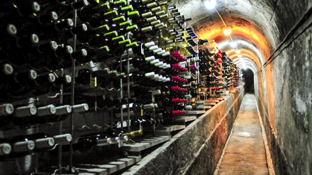 Chafariz do Vinho vinhos