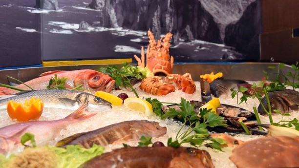 Real Canoa Canoa com Peixe Fresco