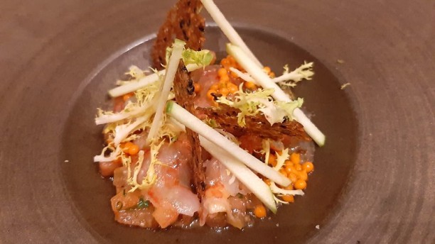 Misc by Tartar-ia Prato