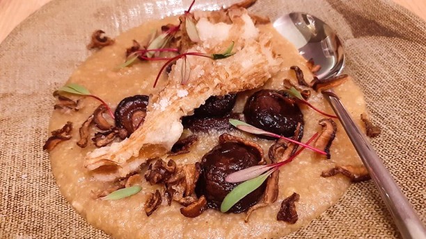 Misc by Tartar-ia Prato