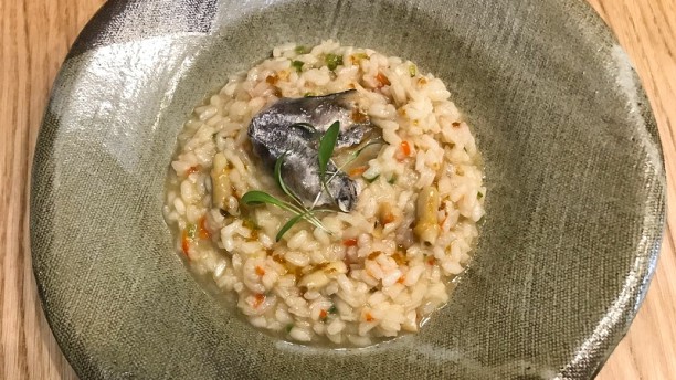 Misc by Tartar-ia Prato