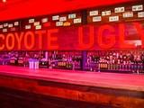 Coyote Ugly Bar