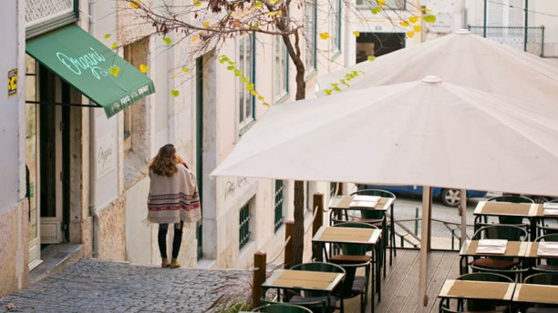 Organi - Chiado Esplanada