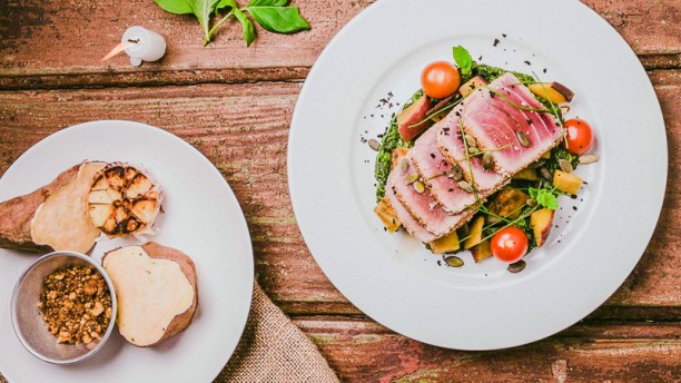 Saborear Bife de Atum