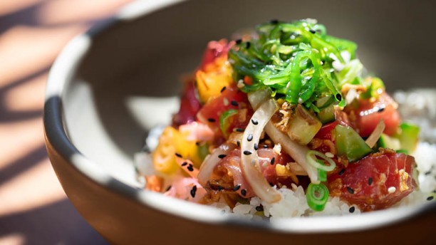 Big Fish Poke Sugestão do chef