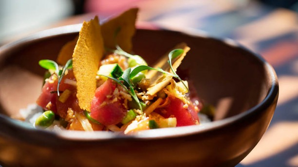 Big Fish Poke Sugestão do chef
