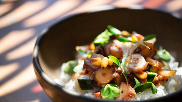 Big Fish Poke Sugestão do chef