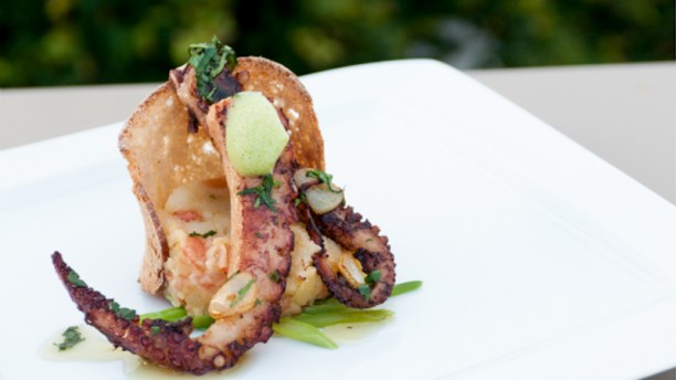 Degust`AR Tentaculos de Polvo