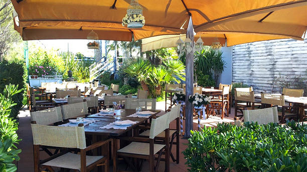 L'Ostrica Pazza in Ostia - Restaurant Reviews, Menu and Prices - TheFork