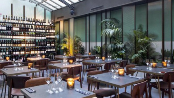 Terra in Paris - Restaurant Reviews, Menu and Prices - TheFork