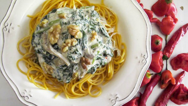 Remédio Santo Strogonoff de cogumelos silvestres, grelos e nozes