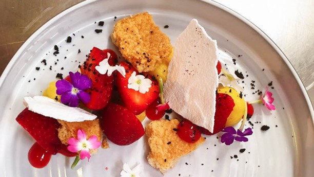 Grenache Sugestão prato