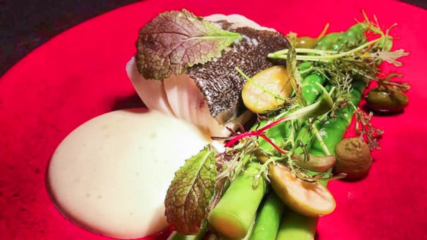 Grenache Sugestão prato