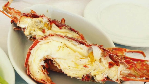 Rosa Branca Sugestão do chef