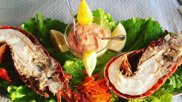 Rosa Branca Sugestão do chef