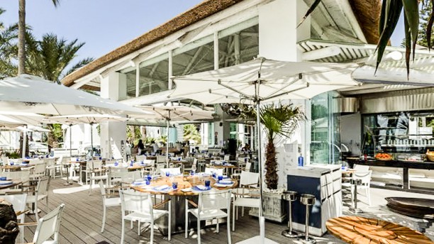 Sea Grill Puente Romano Beach Resort Spa In Marbella Sea Grill Puente Romano Beach Resort Spa Terraza