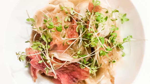 Boi Cavalo Sugestão