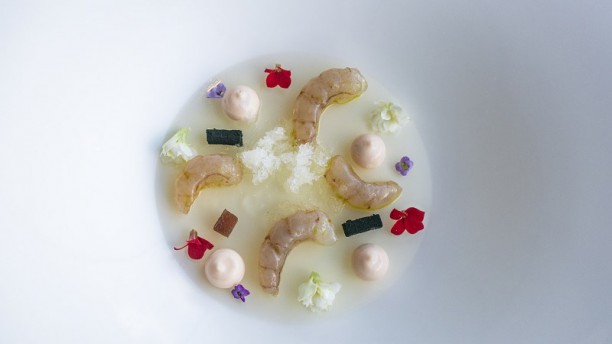 Eneko Lisboa Sugestão do chef