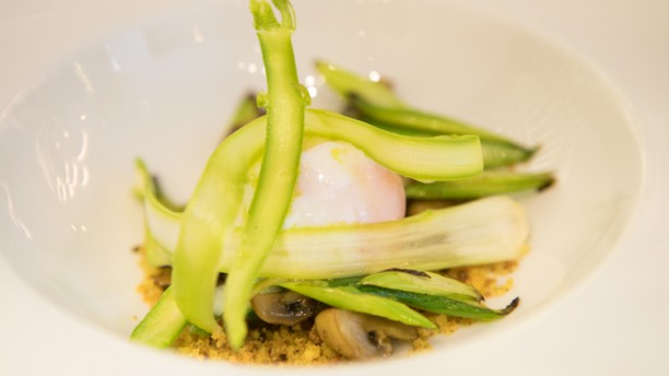 Astória Espargos Campestres