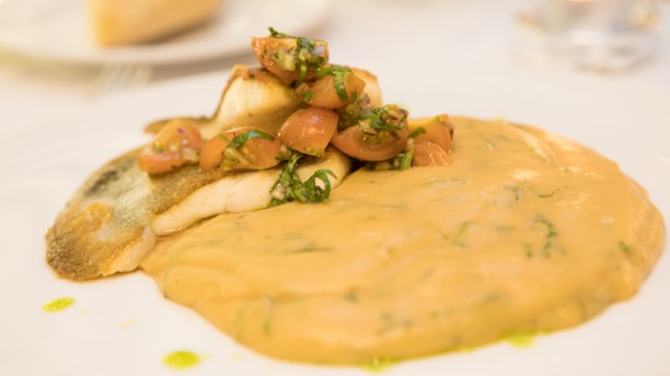 Astória Pregado c/ açorda de camarão