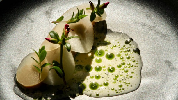 Den lille fede Kockens förslag