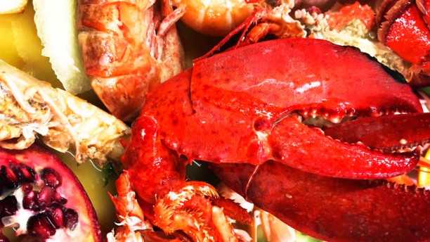 un sacco di pesce dating costo