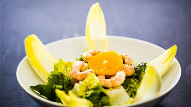 Dama e Vagabundo sugestão prato