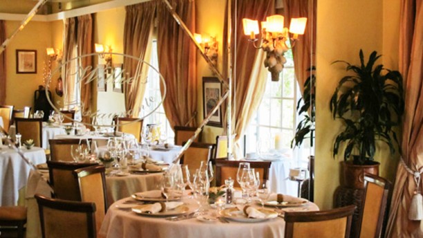 Willie's Sala interior