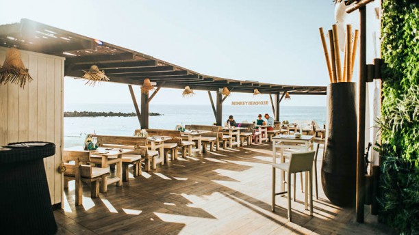 Restaurante Monkey Beach Club en De Las Americas 