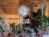 Selva
