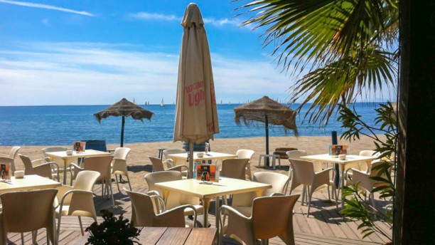 boulud restaurant palm beach